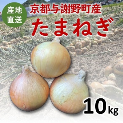 【期間限定】 玉ねぎ 約10kg　京都与謝野町のこだわり栽培たまねぎ　【AGRIST】