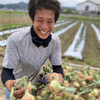 【期間限定】 玉ねぎ 約10kg　京都与謝野町のこだわり栽培たまねぎ　【AGRIST】