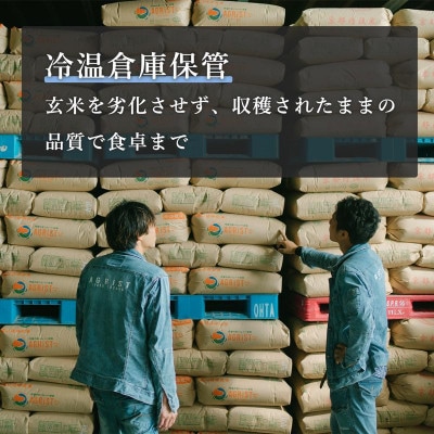 令和8年新米　京都与謝野町産エナジーこしひかり精米5kg　農家直送