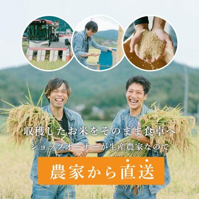 令和8年新米　京都与謝野町産エナジーこしひかり精米5kg×6袋　農家直送