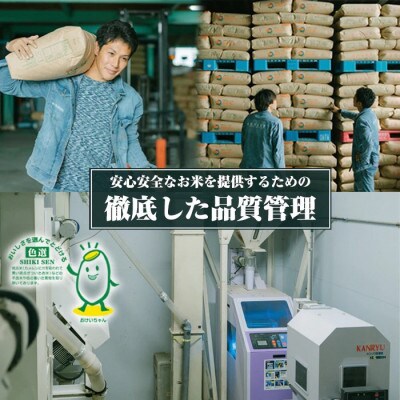 【毎月定期便】丹後産ミルキークイーン 精米5kg　冷めても美味しいモチモチふっくらのお米全3回
