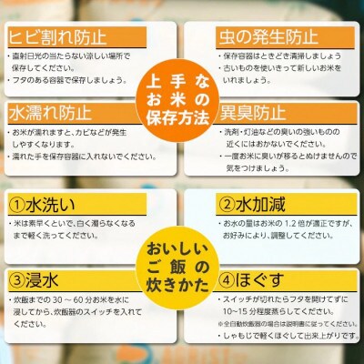 【毎月定期便】丹後産ミルキークイーン 精米5kg　冷めても美味しいモチモチふっくらのお米全3回