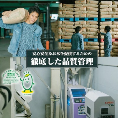 【毎月定期便】丹後産ミルキークイーン 精米5kg　冷めても美味しいモチモチふっくらのお米全6回