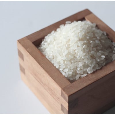 CRAFT CHOCOLATE RICE GRAINS　丹後米チョコレートシリアル 4個 与謝野町