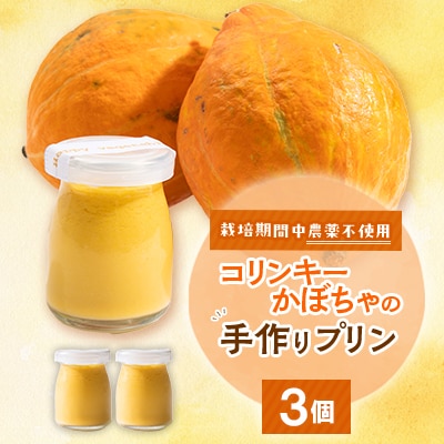栽培期間中、農薬を使わず自家栽培した「コリンキーかぼちゃ」使用の手作りプリン　3個
