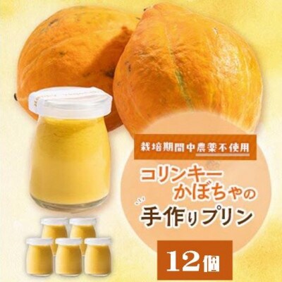 栽培期間中、農薬を使わず自家栽培した「コリンキーかぼちゃ」使用の手作りプリン　12個