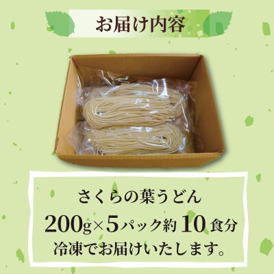 さくらの葉うどん 1kg(200g×5パック) 桜の香りが広がる緑の生うどん。お祝いやギフトにも