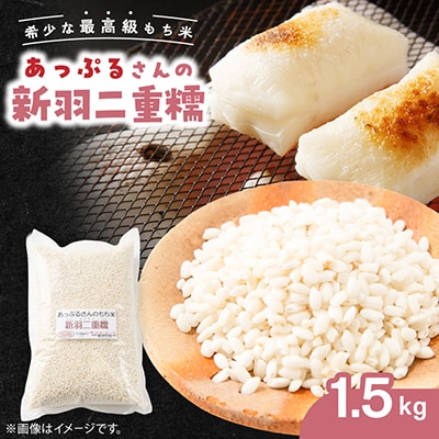 【京都府固有種・希少もち米】 新羽二重糯1.5kg 　冷めてもやわらかい、最高級のもち米　農家直送