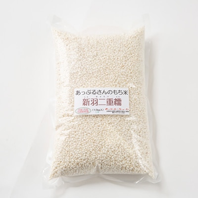 【京都府固有種・希少もち米】 新羽二重糯1.5kg 　冷めてもやわらかい、最高級のもち米　農家直送