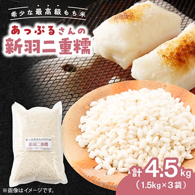 【京都府固有種・希少もち米】 新羽二重糯1.5kg×3袋　冷めてもやわらかい最高級のもち米　農家直送
