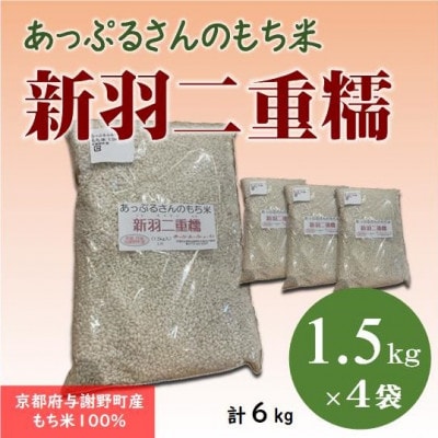 【京都府固有種・希少もち米】 新羽二重糯1.5kg×4袋 　冷めてもやわらかい、最高級のもち米