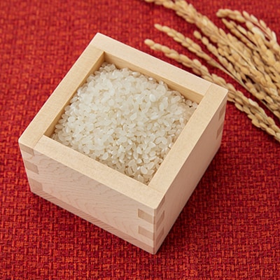 【先行受付】数量限定!令和8年新米 京都与謝野町産コシヒカリ「京の豆っこ米」　精米5kg　農家直送