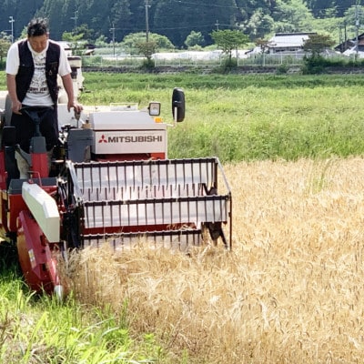 【毎月定期便】自然循環農業で育った京都与謝野町産コシヒカリ「京の豆っこ米」精米5kg全3回
