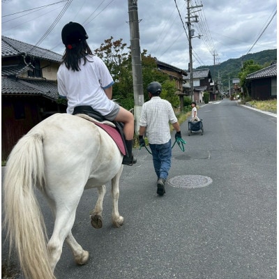 馬の暮らし体験(ホースセラピー)馬と触れあい乗ってみる 2時間コース 1名様【京都府与謝野町】