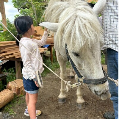 馬の暮らし体験(ホースセラピー)馬と触れあい散歩する1時間コース 1名様【京都府与謝野町】