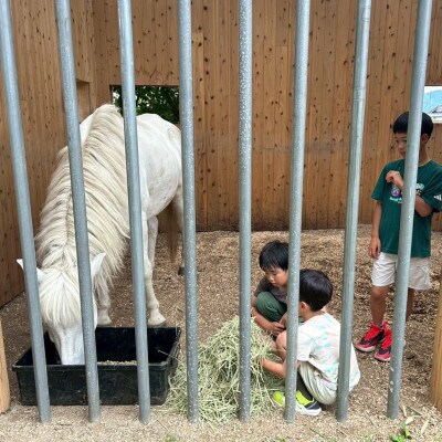 与謝野町 馬と暮らすセラピー体験　馬と触れ合う30分コース