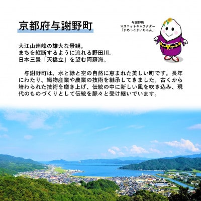 【返礼品なし】与謝野町への応援寄附(返礼品はございません)　寄附額1,000円
