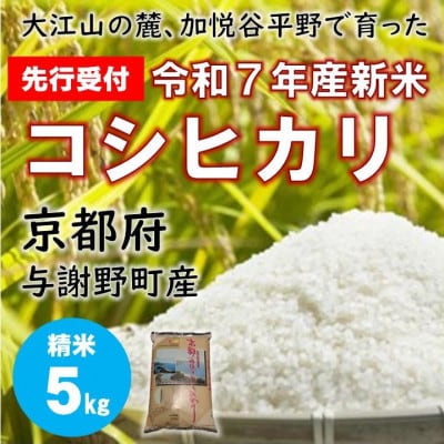 【先行受付】 令和7年新米　大江山の麓、京都府与謝野町で育った丹後産コシヒカリ　精米5kg　農家直送