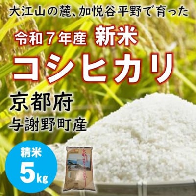 令和7年新米 大江山の麓、京都府与謝野町で育った丹後産コシヒカリ 精米5kg おいしいお米を農家直送