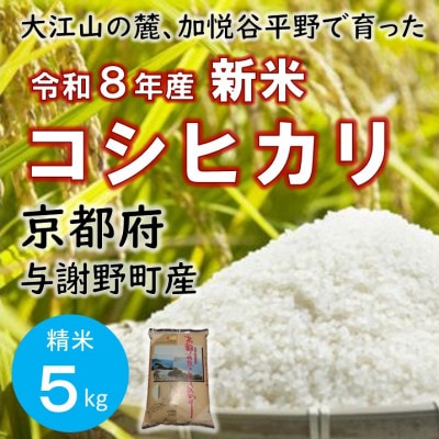令和8年新米　大江山の麓、京都府与謝野町で育った丹後産コシヒカリ　精米5kg　おいしいお米を農家直送