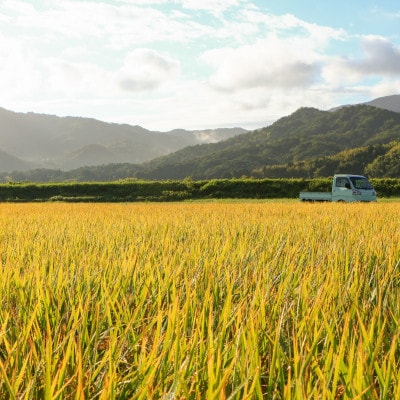 【先行受付】 令和8年新米　大江山の麓、京都府与謝野町で育った丹後産コシヒカリ　精米5kg　数量限定