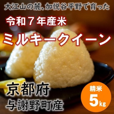 令和7年産米　大江山の麓、与謝野町で育った丹後産ミルキークイーン　精米5kg　おいしいお米を農家直送