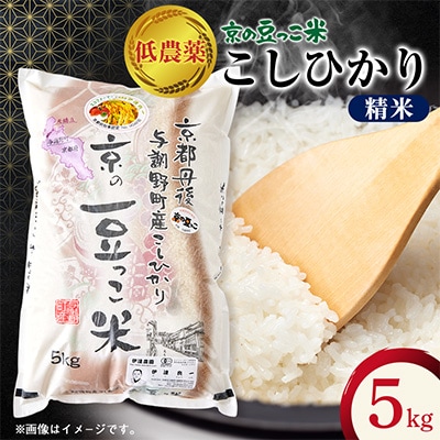 令和7年産米「京の豆っこ米」精米5kg　低農薬コシヒカリ　京都与謝野町　【伊達農園】