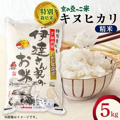 令和7年産米　特別栽培キヌヒカリ「京の豆っこ米」精米5kg　京都与謝野町　【伊達農園】　数量限定