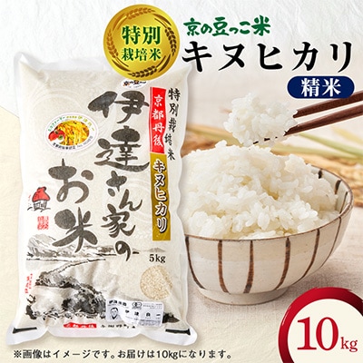 令和7年産米　特別栽培キヌヒカリ「京の豆っこ米」精米10kg　京都与謝野町　【伊達農園】　数量限定