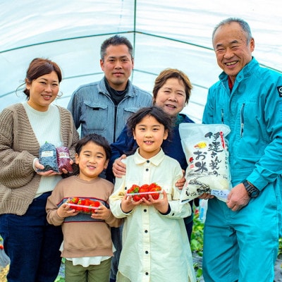 令和7年産新米　特別栽培キヌヒカリ「京の豆っこ米」精米10kg　京都与謝野町　【伊達農園】　数量限定