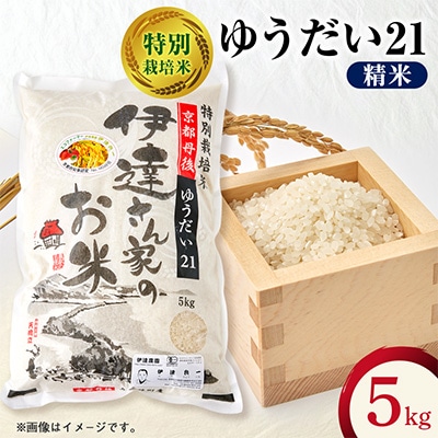 令和7年産米 特別栽培米「ゆうだい21」精米5kg　京都与謝野町　【伊達農園】　数量限定