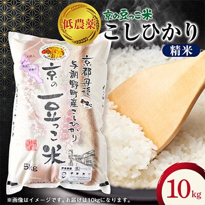 令和7年産米「京の豆っこ米」低農薬コシヒカリ　精米10kg 農家直送　京都与謝野町【伊達農園】