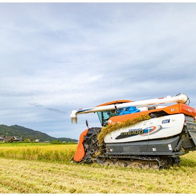 【先行受付】 数量限定　令和8年産新米 特別栽培米「ゆうだい21」精米5kg　京都産米　【伊達農園】