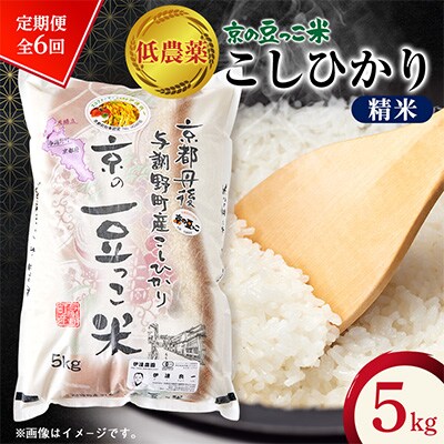 【毎月定期便】「京の豆っこ米」精米5kg　低農薬コシヒカリ　京都与謝野町　【伊達農園】全6回