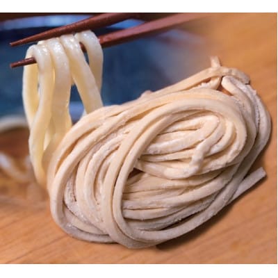 へじや製麺のうどん生麺10食セット 細麺タイプ　ぶっかけ(温)用特製だしつゆ付