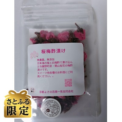 【さとふる限定】桜梅酢漬け計25g 京都与謝野町産