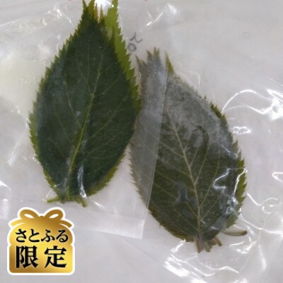 【さとふる限定】桜葉塩漬け 計50枚 京都与謝野町産 手摘み栽培期間中農薬不使用