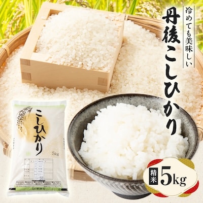 【令和7年産米】京都府与謝野町産 丹後コシヒカリ 精米5kg　もちもちとした食感が特徴のおいしいお米