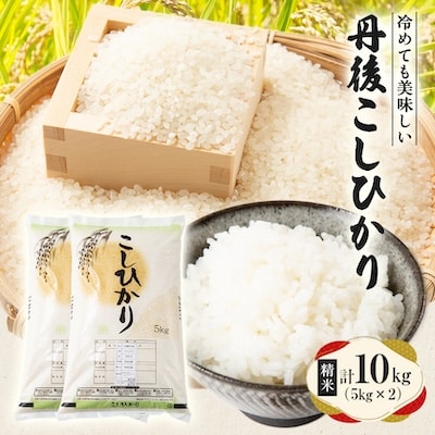【令和7年産米】京都府与謝野町産 丹後コシヒカリ 精米10kg　もちもち食感が特徴のおいしいお米