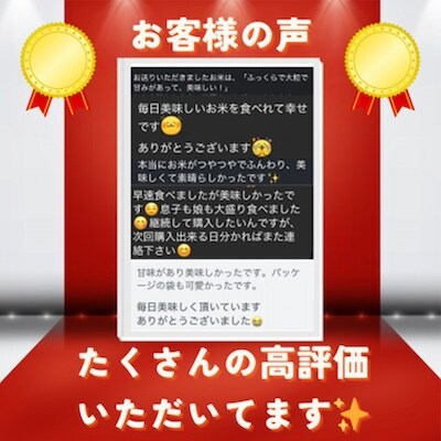 【令和7年産米】京都府与謝野町産 丹後コシヒカリ 精米20kg　もちもち食感が特徴のおいしいお米
