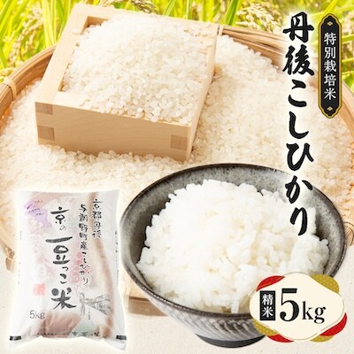 【令和7年産米】京都府与謝野町産 丹後コシヒカリ 精米5kg　特別栽培米 京の豆っこ米