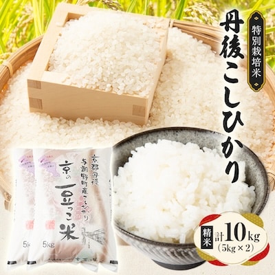 【令和7年産米】京都府与謝野町産 丹後コシヒカリ 精米10kg　特別栽培米 京の豆っこ米