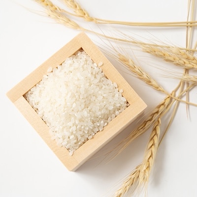【令和7年産米】京都府与謝野町産 丹後コシヒカリ 精米10kg　特別栽培米 京の豆っこ米