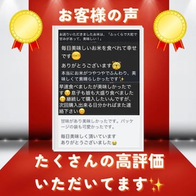 【令和7年産米】京都府与謝野町産 丹後コシヒカリ 精米15kg 特別栽培米 京の豆っこ米