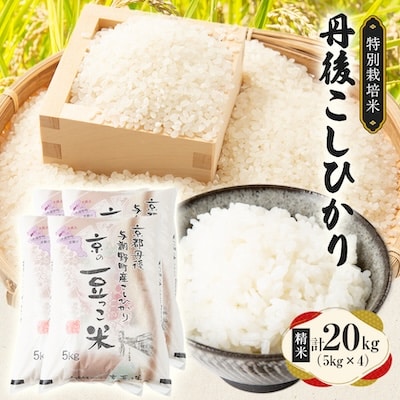 【令和7年産米】京都府与謝野町産 丹後コシヒカリ 精米20kg　特別栽培米 京の豆っこ米