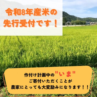 【先行受付】令和8年産米 京都府与謝野町産 丹後コシヒカリ 精米2kg もちもち食感が特徴のお米