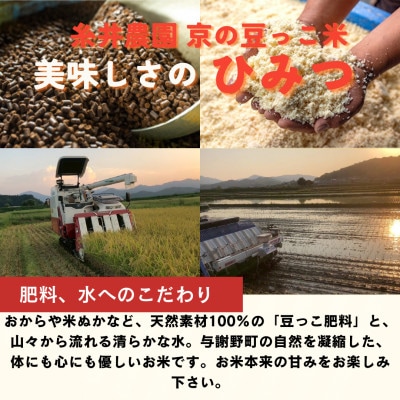【先行受付】令和8年産米 京都府与謝野町産 丹後コシヒカリ 精米10kg　特別栽培米 京の豆っこ米