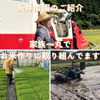 【毎月定期便】京都府与謝野町産 丹後コシヒカリ 精米4kg　もちもちとした食感が特徴のお米全3回