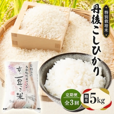 【毎月定期便】京都府与謝野町産 丹後コシヒカリ 精米5kg　特別栽培米 京の豆っこ米全3回