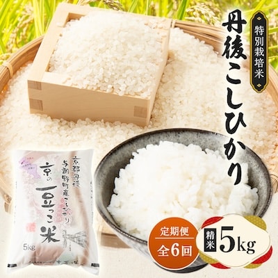 【毎月定期便】京都府与謝野町産 丹後コシヒカリ 精米5kg　特別栽培米 京の豆っこ米全6回